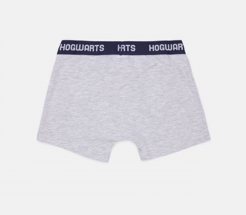 Boxershort Harry Potter