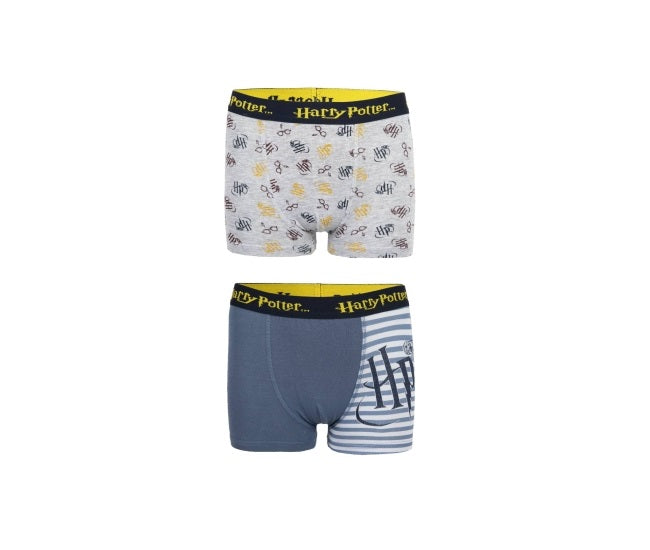 Boxershort Harry Potter (2-pack)