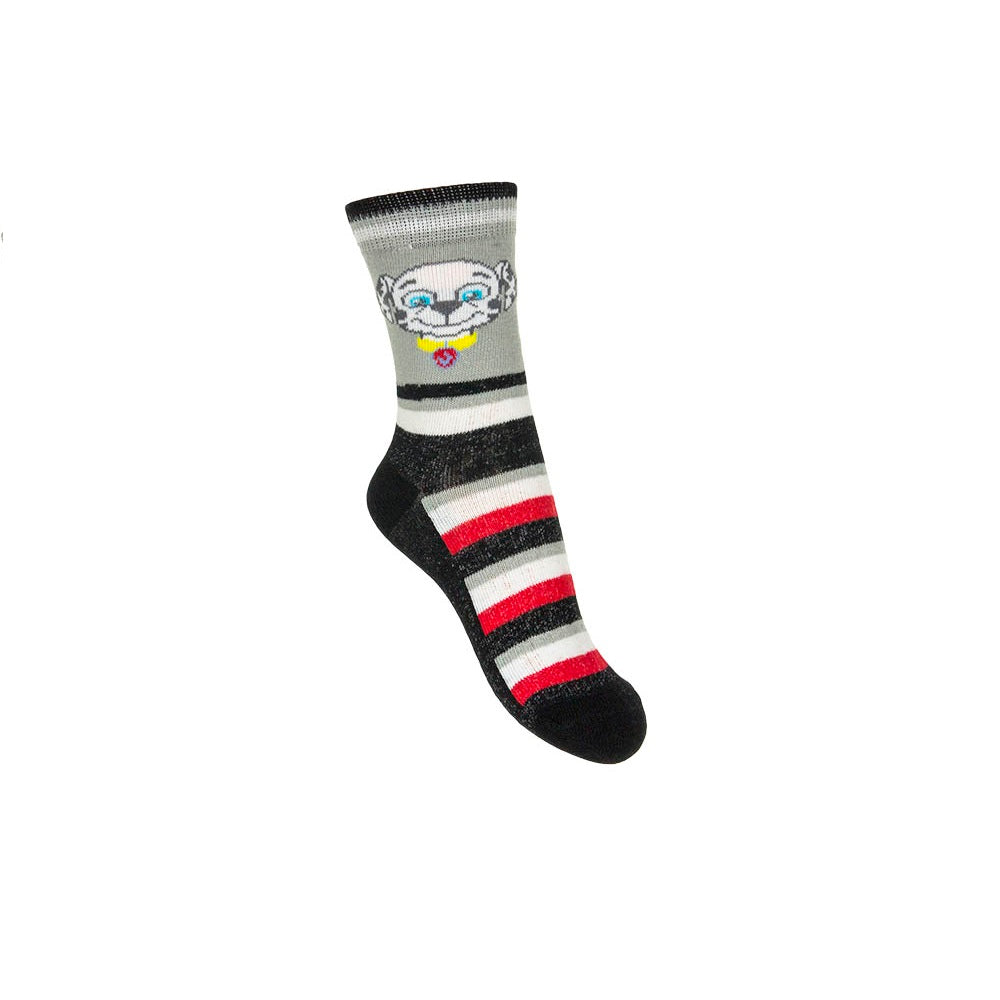 Sokken Paw Patrol