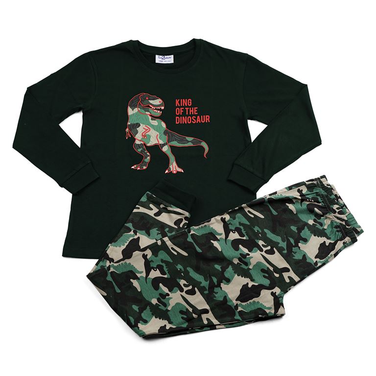 Pyjama dinosaure