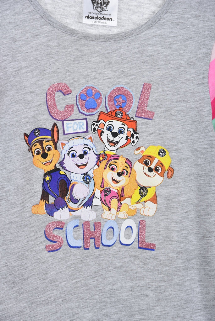 T-shirt à manches longues Pat'Patrouille - gris - taille 98
