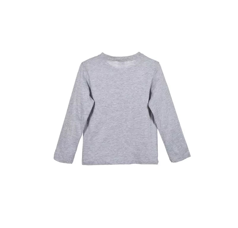 Pokémon Longsleeve Kindershirt – grijs  – Gotta Catch ’Em All – Maten 104-152