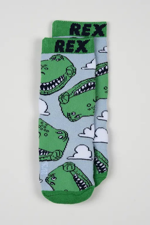 Toy Story Rex antislip sokken voor kinderen in lichtblauw en groen
