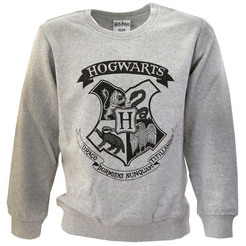 Sweatshirt / trui Harry Potter